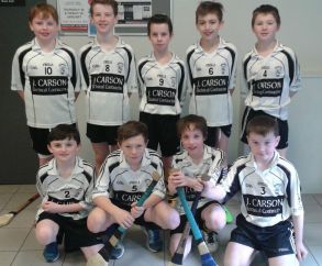 St Patrick\'s Hurlers Reach the County Finals