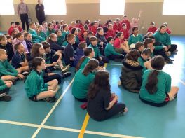 P7 Bee Safe Workshop