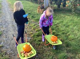 Halloween fun for Mrs O’Shea and Mrs Oliver’s classes